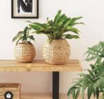 Decorative plant pot, beige - boot1